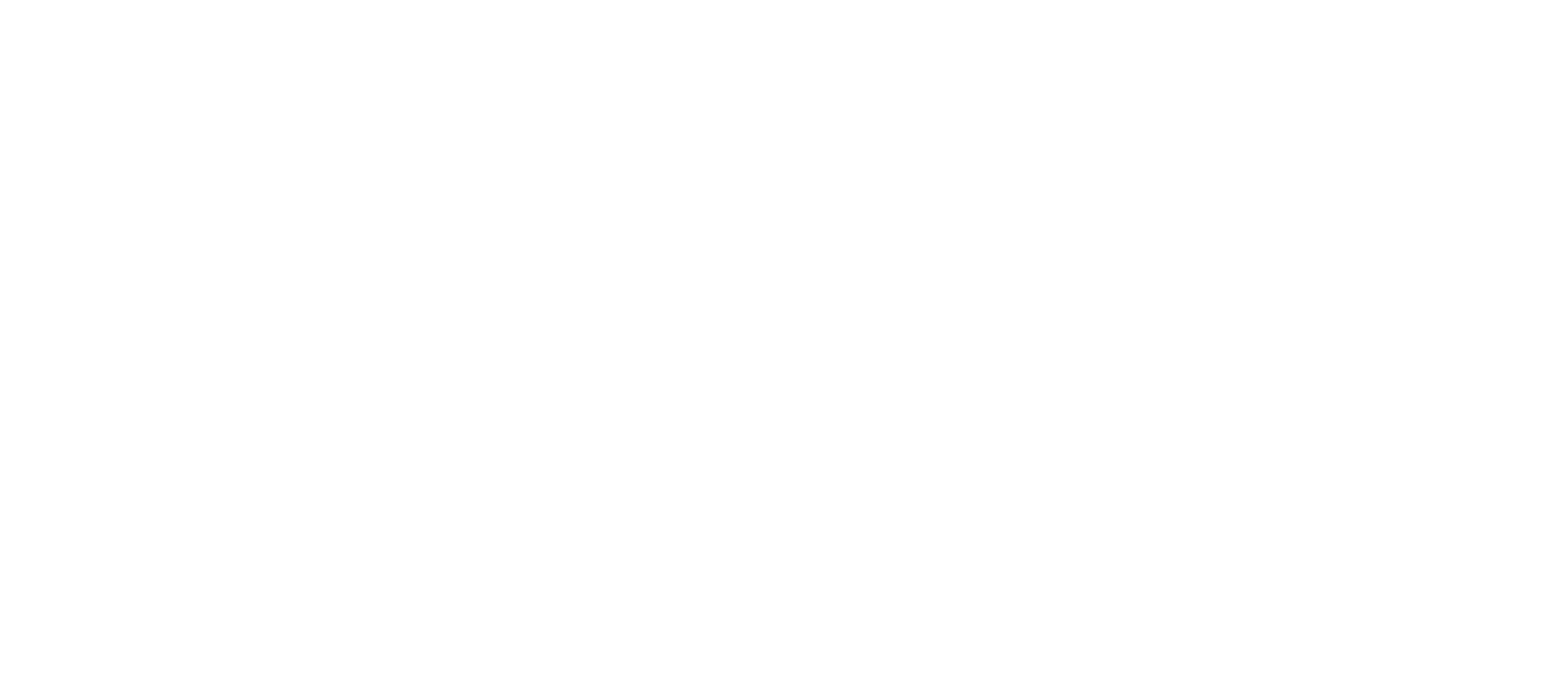 logo Nexhipi Tour